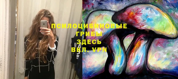 круглые Алзамай