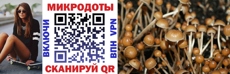 хочу   Карасук  Псилоцибиновые грибы Psilocybe 